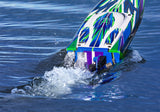Traxxas 1/10 Spartan Brushless Boat
