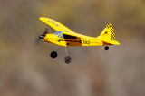 RAGE RC Sport Cub 400 Micro 3-Channel Ready To Fly Airplane