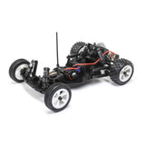 Losi 1/16 Mini JRX2 Brushed 2WD Buggy Ready to Run