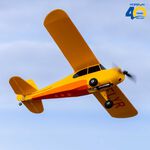 Champ Anniversary Special Edition 515mm